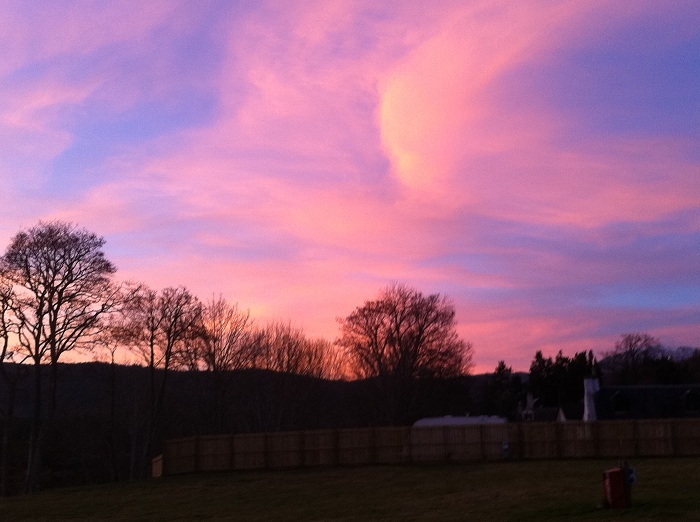 Sunset_-_almost_looks_like_a_painting.jpg