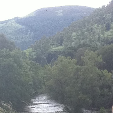 Views_from_campsite.jpg