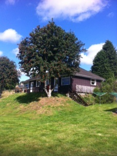 chalet_isle_of_skye.jpg
