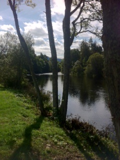 river_view.jpg
