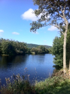 river_view_north.jpg